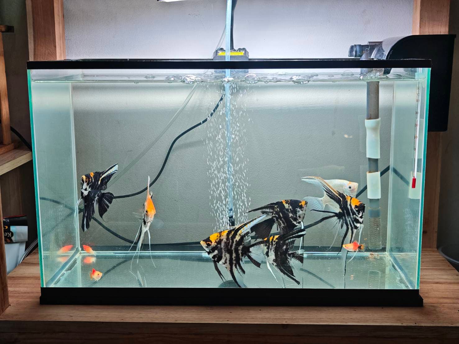 Angelic Elegance image 4